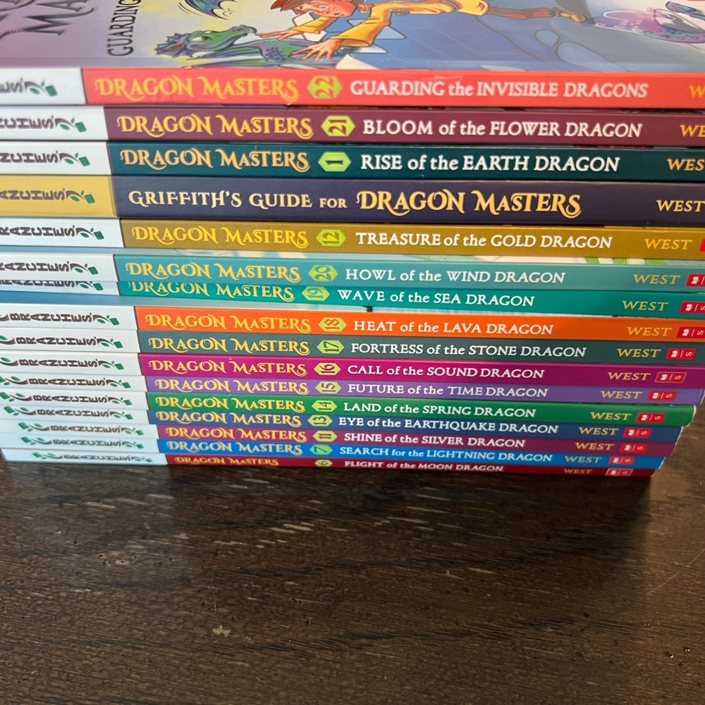 16 different Dragon Masters Chapter Books